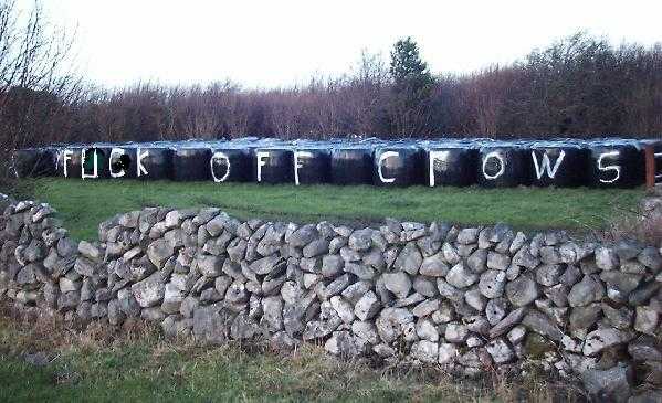 Irish scarecrow